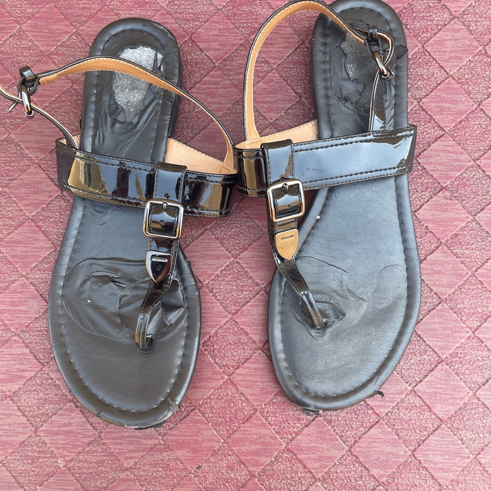 Coach Cassidy Black Buckle Strap Leather Sandals